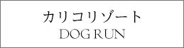 カリコリゾート　ドッグラン
