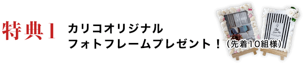 特典1　カリコフォトフレームプレゼント（先着10名様）