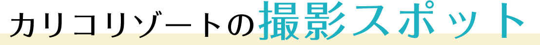 カリコリゾートの撮影スポット