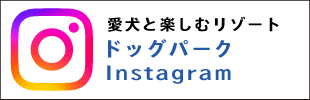 公式カリコリゾートドッグラン インスタグラム